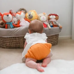 The Peanutshell Charlie The Bear Knit Plush -Playland Shop GUEST 24bcf7a7 0953 4316 aa20 e5b5c1ed53e4