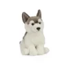 Living Nature Husky Plush Toy -Playland Shop GUEST 35855866 0fd4 4738 bc6a f680ebd3b2a7