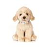 Living Nature Giant Golden Lab Puppy Plush Toy -Playland Shop GUEST 425c1b70 4bf7 4f8b b39d a8affbca6fa7