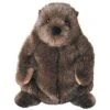 Douglas Chuckwood Groundhog Plush Stuffed Animal -Playland Shop GUEST 72f9215e bba6 4566 8ff4 70990e3d4113