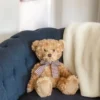 Bearington Theodore Brown Plush Stuffed Animal Teddy Bear, 17 Inches -Playland Shop GUEST 7bf3c423 ffa9 4802 b91d f6f11d0d9f88