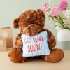 Get Well Soon Bear Plush Pillow, Get Well Soon Bear For Kids, Adults (Dark Brown, 14 In) 2 Get Well Soon Bear Plush Pillow, Get Well Soon Bear For Kids, Adults (Dark Brown, 14 In) -Playland Shop GUEST 9737529c cf66 41f0 906e b953ab20713b