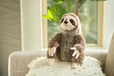 Playland Shop -Playland Shop GUEST c987b66b c6d4 420d a8b4 a7d4e234eadd