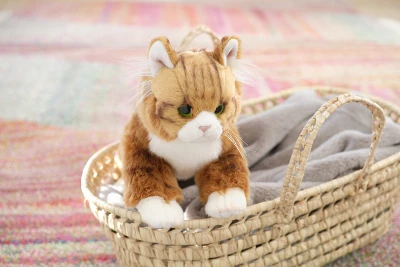 Playland Shop -Playland Shop GUEST f76f50ea d8a1 4932 94f1 32ef1c816232